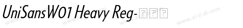 UniSansW01 Heavy Reg字体转换